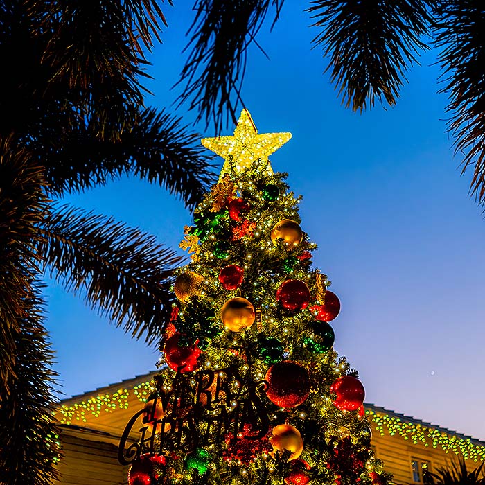florida home with holiday lights