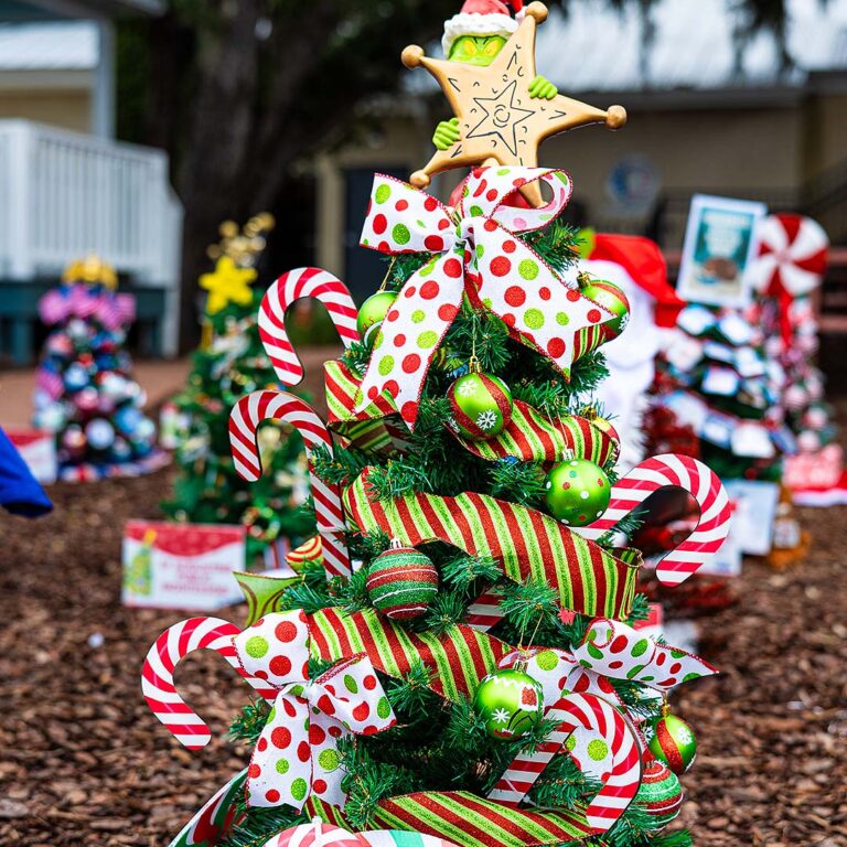 third place Pedro Menendez High School holiday tree